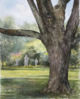 Old Tree, Elm Bank by Yale S. Nicolls